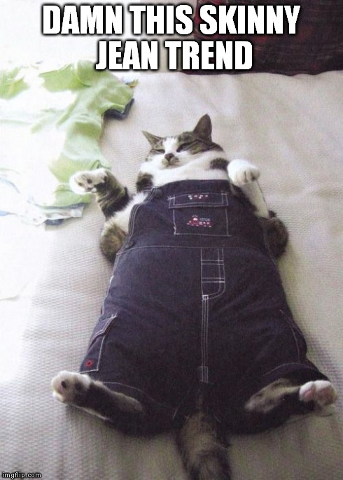 Fat Cat | DAMN THIS SKINNY JEAN TREND | image tagged in memes,fat cat | made w/ Imgflip meme maker