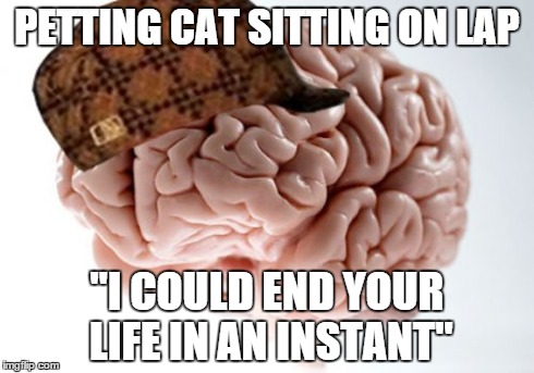 Scumbag Brain | PETTING CAT SITTING ON LAP "I COULD END YOUR LIFE IN AN INSTANT" | image tagged in memes,scumbag brain,AdviceAnimals | made w/ Imgflip meme maker