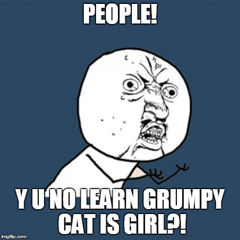 Y U No Meme | PEOPLE! Y U NO LEARN GRUMPY CAT IS GIRL?! | image tagged in memes,y u no | made w/ Imgflip meme maker