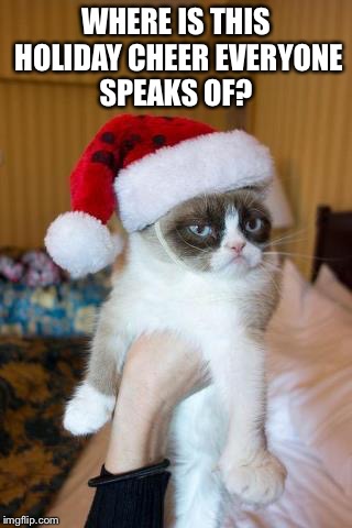 Where Is The Holiday Cheer? | WHERE IS THIS HOLIDAY CHEER EVERYONE SPEAKS OF? | image tagged in memes,grumpy cat christmas,grumpy cat | made w/ Imgflip meme maker