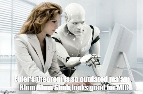 Euler's theorem is so outdated ma'am.
 Blum Blum Shub looks good for MIC | made w/ Imgflip meme maker