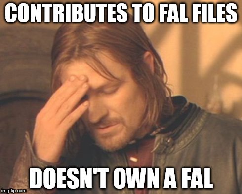 Frustrated Boromir Meme | CONTRIBUTES TO FAL FILES DOESN'T OWN A FAL | image tagged in memes,frustrated boromir | made w/ Imgflip meme maker