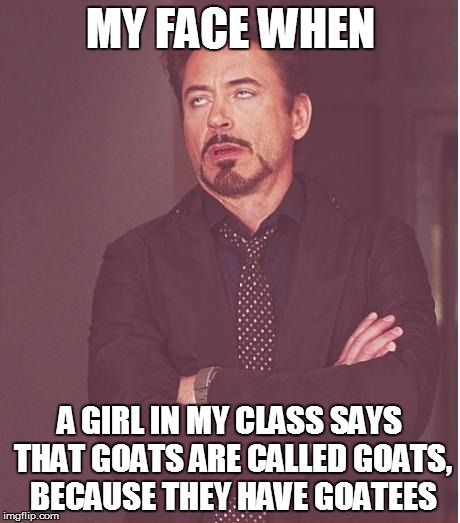 Face You Make Robert Downey Jr Meme | MY FACE WHEN A GIRL IN MY CLASS SAYS THAT GOATS ARE CALLED GOATS, BECAUSE THEY HAVE GOATEES | image tagged in memes,face you make robert downey jr | made w/ Imgflip meme maker
