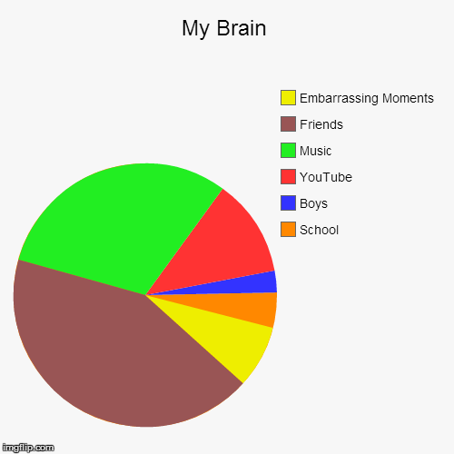 image tagged in funny,pie charts | made w/ Imgflip chart maker