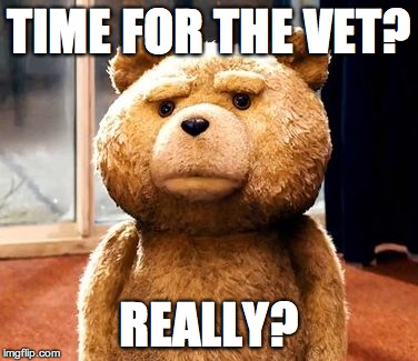 Ok. I decided to be nice and let my dad make a meme on my account. Dun hate. :| | TIME FOR THE VET? REALLY? | image tagged in memes,ted | made w/ Imgflip meme maker