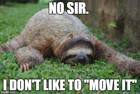 Sleeping sloth | NO SIR. I DON'T LIKE TO ''MOVE IT'' | image tagged in sleeping sloth | made w/ Imgflip meme maker