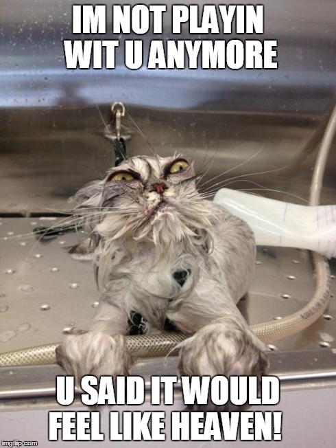 Angry Wet Cat | IM NOT PLAYIN WIT U ANYMORE U SAID IT WOULD FEEL LIKE HEAVEN! | image tagged in angry wet cat | made w/ Imgflip meme maker