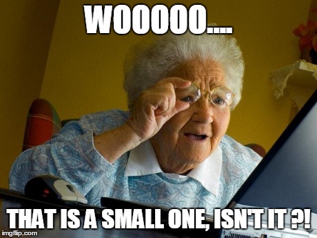 Grandma Finds The Internet | WOOOOO.... THAT IS A SMALL ONE, ISN'T IT ?! | image tagged in memes,grandma finds the internet | made w/ Imgflip meme maker