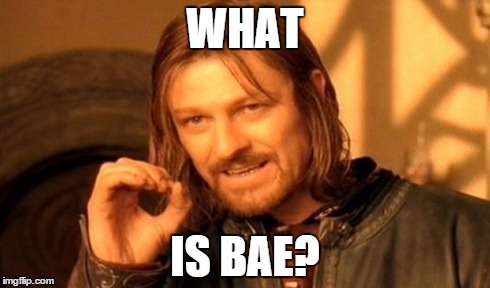One Does Not Simply Meme | WHAT IS BAE? | image tagged in memes,one does not simply | made w/ Imgflip meme maker
