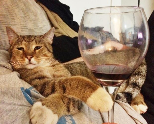 Wine Cat Blank Meme Template