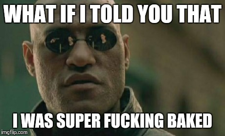Matrix Morpheus Meme | WHAT IF I TOLD YOU THAT I WAS SUPER F**KING BAKED | image tagged in memes,matrix morpheus | made w/ Imgflip meme maker