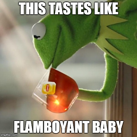 But That's None Of My Business | THIS TASTES LIKE FLAMBOYANT BABY | image tagged in memes,but thats none of my business,kermit the frog | made w/ Imgflip meme maker