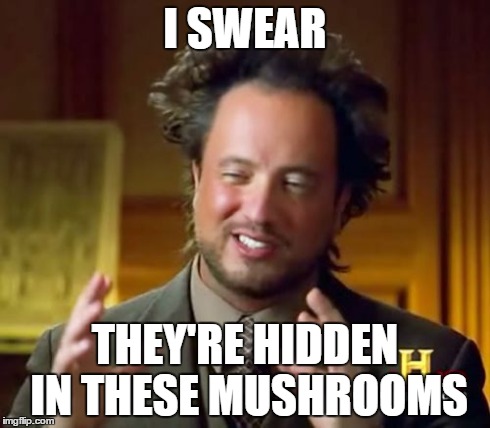 Ancient Aliens | I SWEAR THEY'RE HIDDEN IN THESE MUSHROOMS | image tagged in memes,ancient aliens | made w/ Imgflip meme maker