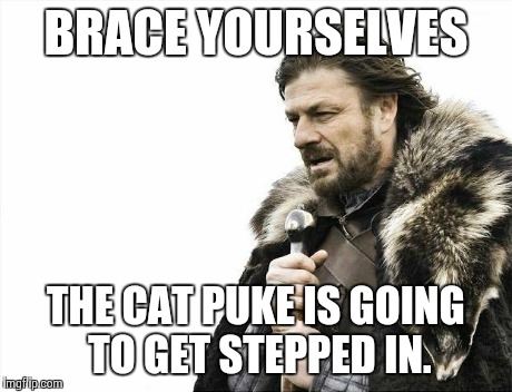 Brace Yourselves X is Coming Meme | BRACE YOURSELVES THE CAT PUKE IS GOING TO GET STEPPED IN. | image tagged in memes,brace yourselves x is coming | made w/ Imgflip meme maker