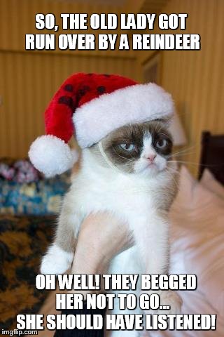 She Should Have Listened | SO, THE OLD LADY GOT RUN OVER BY A REINDEER OH WELL! THEY BEGGED HER NOT TO GO...    SHE SHOULD HAVE LISTENED! | image tagged in memes,grumpy cat christmas,grumpy cat | made w/ Imgflip meme maker