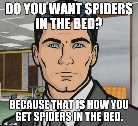 Archer | DO YOU WANT SPIDERS IN THE BED? BECAUSE THAT IS HOW YOU GET SPIDERS IN THE BED. | image tagged in memes,archer | made w/ Imgflip meme maker