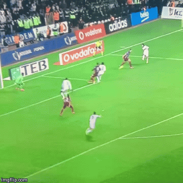 f0w9g.gif