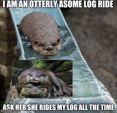 I AM AN OTTERLY ASOME LOG RIDE ASK HER SHE RIDES MY LOG ALL THE TIME | image tagged in lol,otters | made w/ Imgflip meme maker