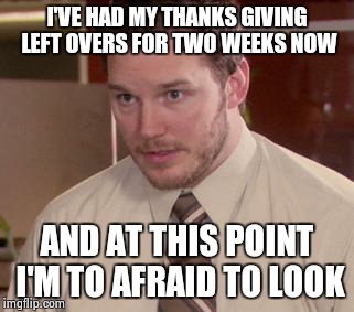 How I always feel this time of year. | I'VE HAD MY THANKS GIVING LEFT OVERS FOR TWO WEEKS NOW AND AT THIS POINT I'M TO AFRAID TO LOOK | image tagged in memes,afraid to ask andy,thanksgiving | made w/ Imgflip meme maker