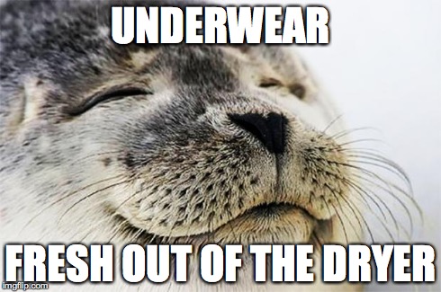 Satisfied Seal | UNDERWEAR FRESH OUT OF THE DRYER | image tagged in satisfied seal | made w/ Imgflip meme maker