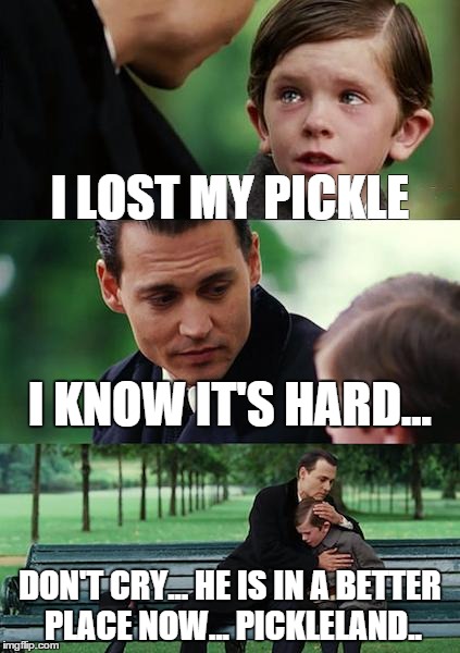 Finding Neverland | I LOST MY PICKLE I KNOW IT'S HARD... DON'T CRY... HE IS IN A BETTER PLACE NOW... PICKLELAND.. | image tagged in memes,finding neverland | made w/ Imgflip meme maker