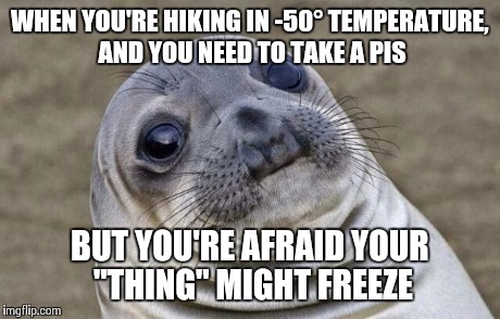 Awkward Moment Sealion Meme | WHEN YOU'RE HIKING IN -50° TEMPERATURE, AND YOU NEED TO TAKE A PIS BUT YOU'RE AFRAID YOUR "THING" MIGHT FREEZE | image tagged in memes,awkward moment sealion | made w/ Imgflip meme maker