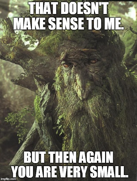 LOTR ENT | THAT DOESN'T MAKE SENSE TO ME. BUT THEN AGAIN YOU ARE VERY SMALL. | image tagged in lotr ent | made w/ Imgflip meme maker