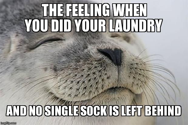 Satisfied Seal Meme | THE FEELING WHEN YOU DID YOUR LAUNDRY AND NO SINGLE SOCK IS LEFT BEHIND | image tagged in seal of approval | made w/ Imgflip meme maker