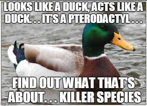 Advice Mallard | LOOKS LIKE A DUCK, ACTS LIKE A DUCK. . . IT'S A PTERODACTYL . . . FIND OUT WHAT THAT'S ABOUT. . . KILLER SPECIES | image tagged in memes,actual advice mallard | made w/ Imgflip meme maker