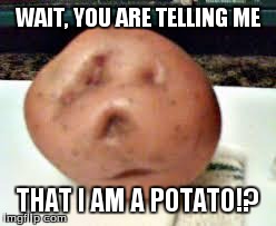 WAIT, YOU ARE TELLING ME THAT I AM A POTATO!? | image tagged in potato | made w/ Imgflip meme maker