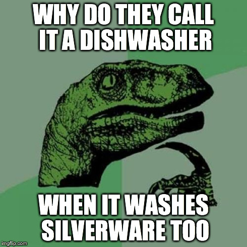 Philosoraptor Meme | WHY DO THEY CALL IT A DISHWASHER WHEN IT WASHES SILVERWARE TOO | image tagged in memes,philosoraptor | made w/ Imgflip meme maker