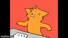 HOMEWORK | image tagged in gifs,cats | made w/ Imgflip video-to-gif maker