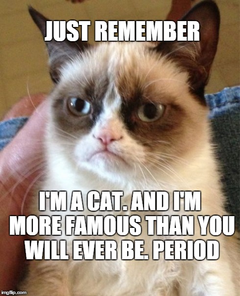 Grumpy Cat Meme | JUST REMEMBER I'M A CAT. AND I'M MORE FAMOUS THAN YOU WILL EVER BE. PERIOD | image tagged in memes,grumpy cat | made w/ Imgflip meme maker