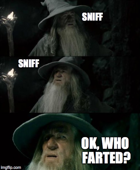 Confused Gandalf | SNIFF SNIFF OK, WHO FARTED? | image tagged in memes,confused gandalf | made w/ Imgflip meme maker