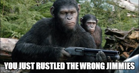 Shotgun Ape | YOU JUST RUSTLED THE WRONG JIMMIES | image tagged in shotgun ape | made w/ Imgflip meme maker
