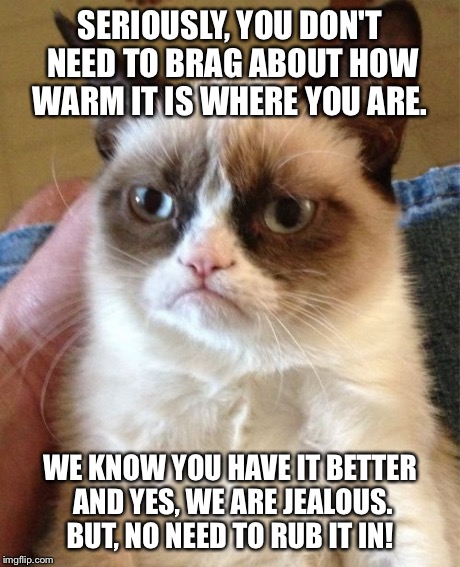 No Need To Brag | SERIOUSLY, YOU DON'T NEED TO BRAG ABOUT HOW WARM IT IS WHERE YOU ARE. WE KNOW YOU HAVE IT BETTER AND YES, WE ARE JEALOUS. BUT, NO NEED TO RU | image tagged in memes,grumpy cat | made w/ Imgflip meme maker