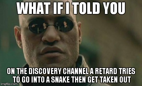 Matrix Morpheus | WHAT IF I TOLD YOU ON THE DISCOVERY CHANNEL A RETARD TRIES TO GO INTO A SNAKE THEN GET TAKEN OUT | image tagged in memes,matrix morpheus | made w/ Imgflip meme maker