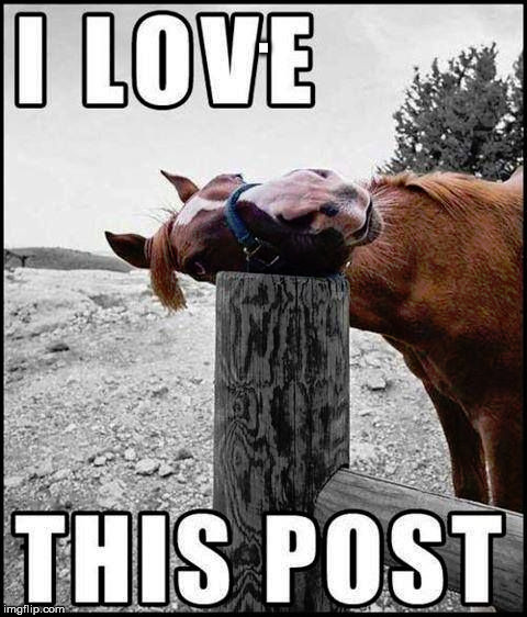 Posted Image