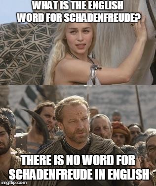 There is no word | WHAT IS THE ENGLISH WORD FOR SCHADENFREUDE? THERE IS NO WORD FOR SCHADENFREUDE IN ENGLISH | image tagged in there is no word | made w/ Imgflip meme maker