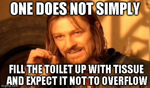 To my wife's friend who has no common sense | ONE DOES NOT SIMPLY FILL THE TOILET UP WITH TISSUE AND EXPECT IT NOT TO OVERFLOW | image tagged in memes,one does not simply | made w/ Imgflip meme maker