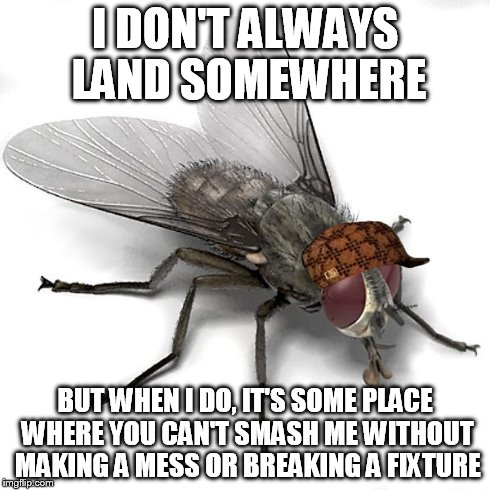 Scumbag House Fly | I DON'T ALWAYS LAND SOMEWHERE BUT WHEN I DO, IT'S SOME PLACE WHERE YOU CAN'T SMASH ME WITHOUT MAKING A MESS OR BREAKING A FIXTURE | image tagged in scumbag house fly,scumbag,memes | made w/ Imgflip meme maker