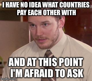 It sounds like a really stupid question to me | I HAVE NO IDEA WHAT COUNTRIES PAY EACH OTHER WITH AND AT THIS POINT I'M AFRAID TO ASK | image tagged in memes,afraid to ask andy,money | made w/ Imgflip meme maker