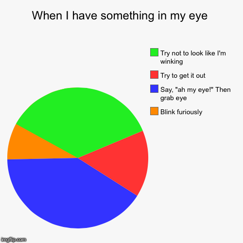 When I have something in my eye | Blink furiously, Say, "ah my eye!" Then grab eye, Try to get it out, Try not to look like I'm winking | image tagged in funny,pie charts | made w/ Imgflip chart maker