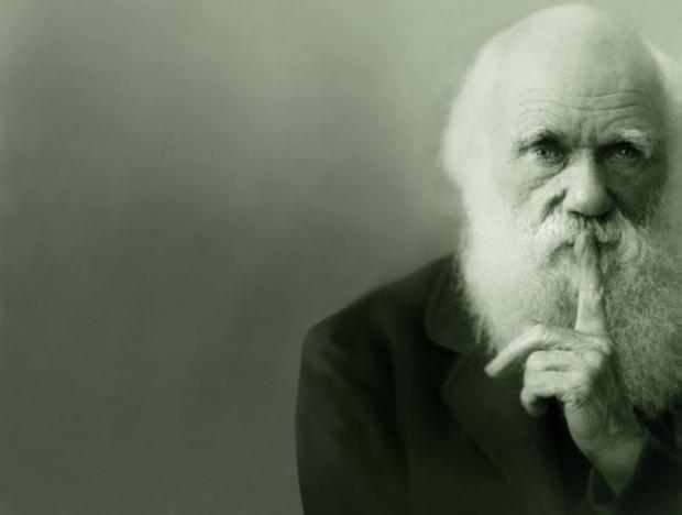 Darwin Blank Meme Template