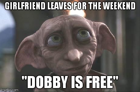 dobby | GIRLFRIEND LEAVES FOR THE WEEKEND "DOBBY IS FREE" | image tagged in dobby | made w/ Imgflip meme maker