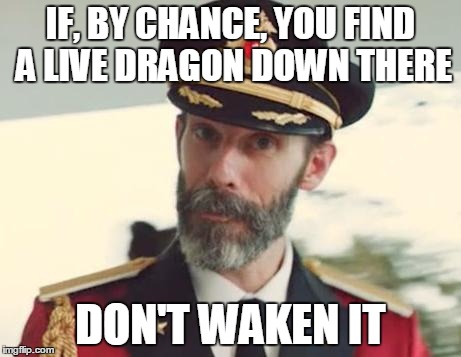 Captain Obvious | IF, BY CHANCE, YOU FIND A LIVE DRAGON DOWN THERE DON'T WAKEN IT | image tagged in captain obvious | made w/ Imgflip meme maker