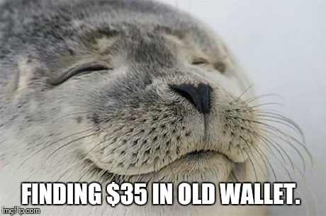 Satisfied Seal | FINDING $35 IN OLD WALLET. | image tagged in satisfied seal,AdviceAnimals | made w/ Imgflip meme maker