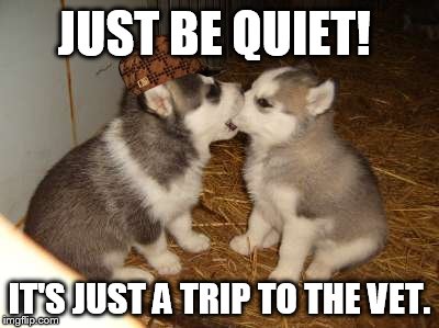 Cute Puppies Meme | JUST BE QUIET! IT'S JUST A TRIP TO THE VET. | image tagged in memes,cute puppies,scumbag | made w/ Imgflip meme maker