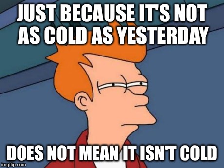 Futurama Fry Meme | JUST BECAUSE IT'S NOT AS COLD AS YESTERDAY DOES NOT MEAN IT ISN'T COLD | image tagged in memes,futurama fry | made w/ Imgflip meme maker