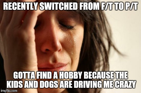 First World Problems Meme | RECENTLY SWITCHED FROM F/T TO P/T GOTTA FIND A HOBBY BECAUSE THE KIDS AND DOGS ARE DRIVING ME CRAZY | image tagged in memes,first world problems | made w/ Imgflip meme maker